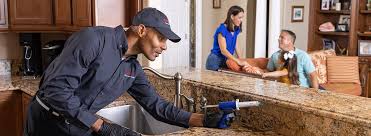 Best Pest Exclusion Services  in Cave Junction, OR