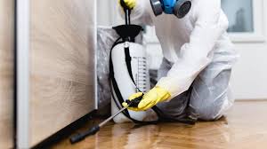 Best Pest Prevention Services  in Cave Junction, OR